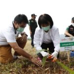 ซีพีแรม - เครือเจริญโภคภัณฑ์ เดินหน้านโยบาย Carbon Neutral ลุยปลูกไม้ยืนต้นเพิ่มพื้นที่สีเขียว อ.สะเมิง