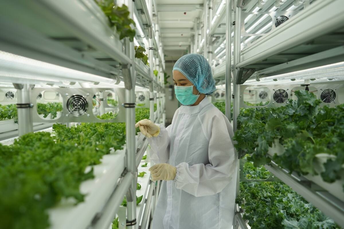 รู้จัก “FlexiFarm” ต้นแบบ “ฟาร์มสำเร็จ” กับโมเดลธุรกิจคอนเทนเนอร์ฟาร์ม