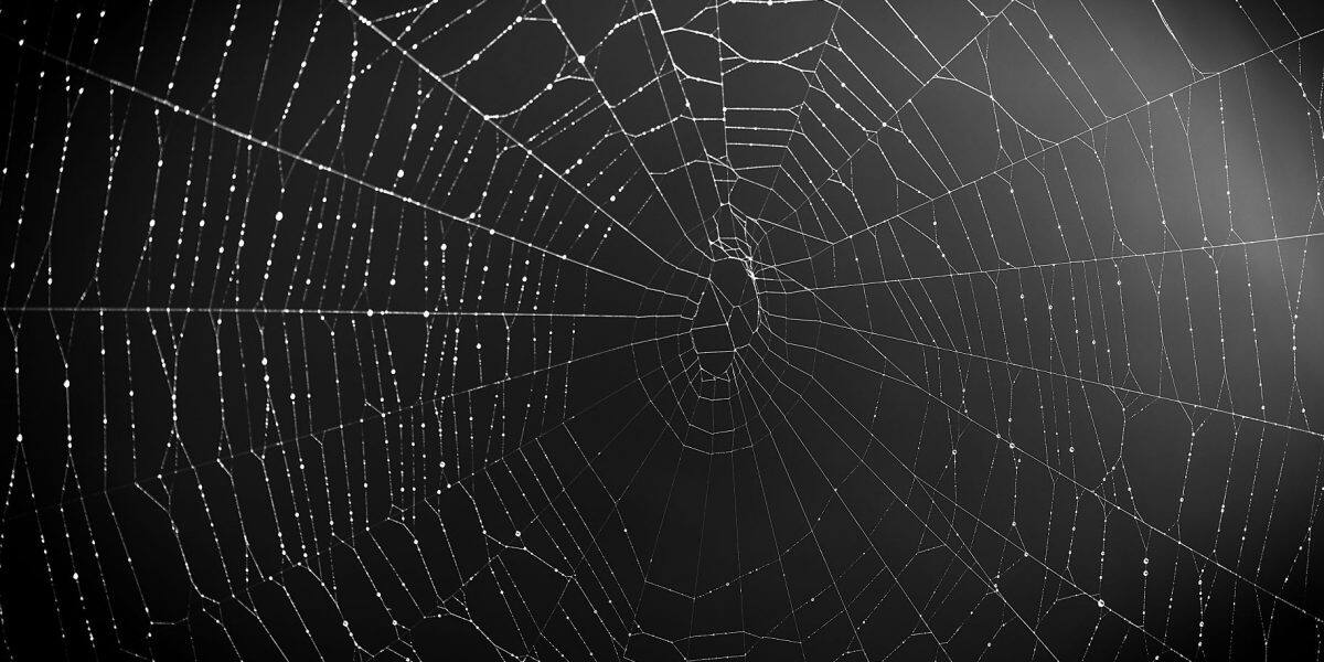 อาชญากรไซเบอร์ ขายข้อมูลการเข้าถึงบริษัทผ่าน Dark Web ราคา 2 พันดอลลาร์