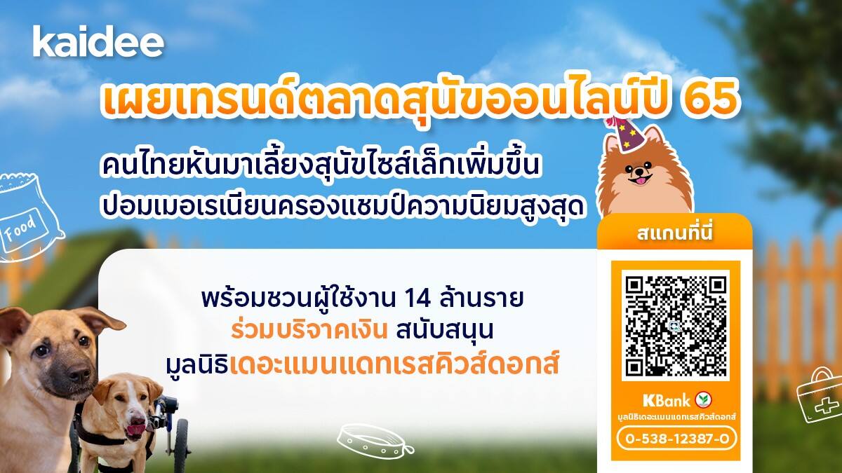 Kaidee เผยเทรนด์ตลาดสุนัขออนไลน์ พบ "ปอมเมอเรเนียน" ครองใจคนไทย