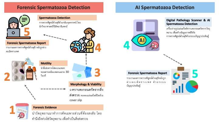 กทปส. หนุน ม.มหิดล นำ “AI” ตรวจพิสูจน์ คดีความผิดทางเพศ ช่วยทำงานเร็วกว่าคนถึง 5.7 เท่า