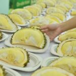 ท็อปส์ คัดหมอนทองพรีเมียม เสิร์ฟความอร่อยแบบไม่อั้น ในงาน Thailand Amazing Durian & Fruit Fest 2023
