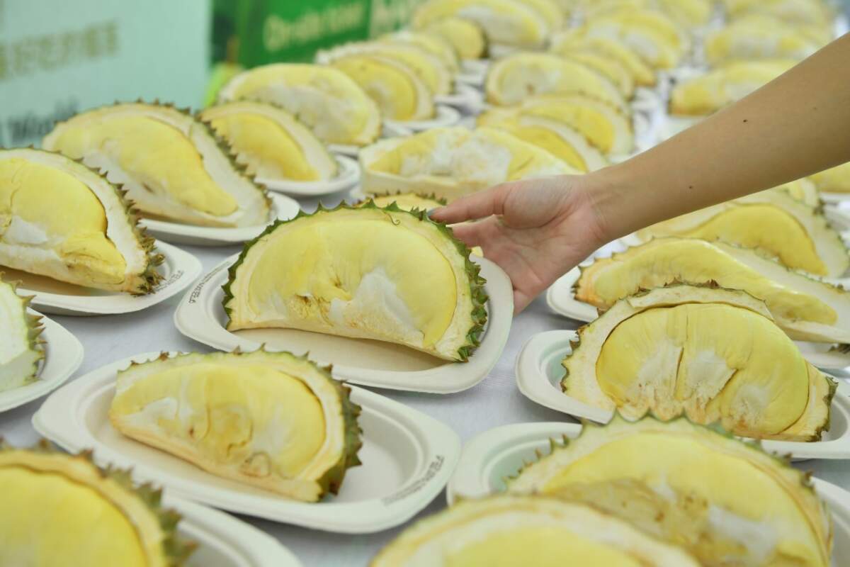 ท็อปส์ คัดหมอนทองพรีเมียม เสิร์ฟความอร่อยแบบไม่อั้น ในงาน Thailand Amazing Durian & Fruit Fest 2023