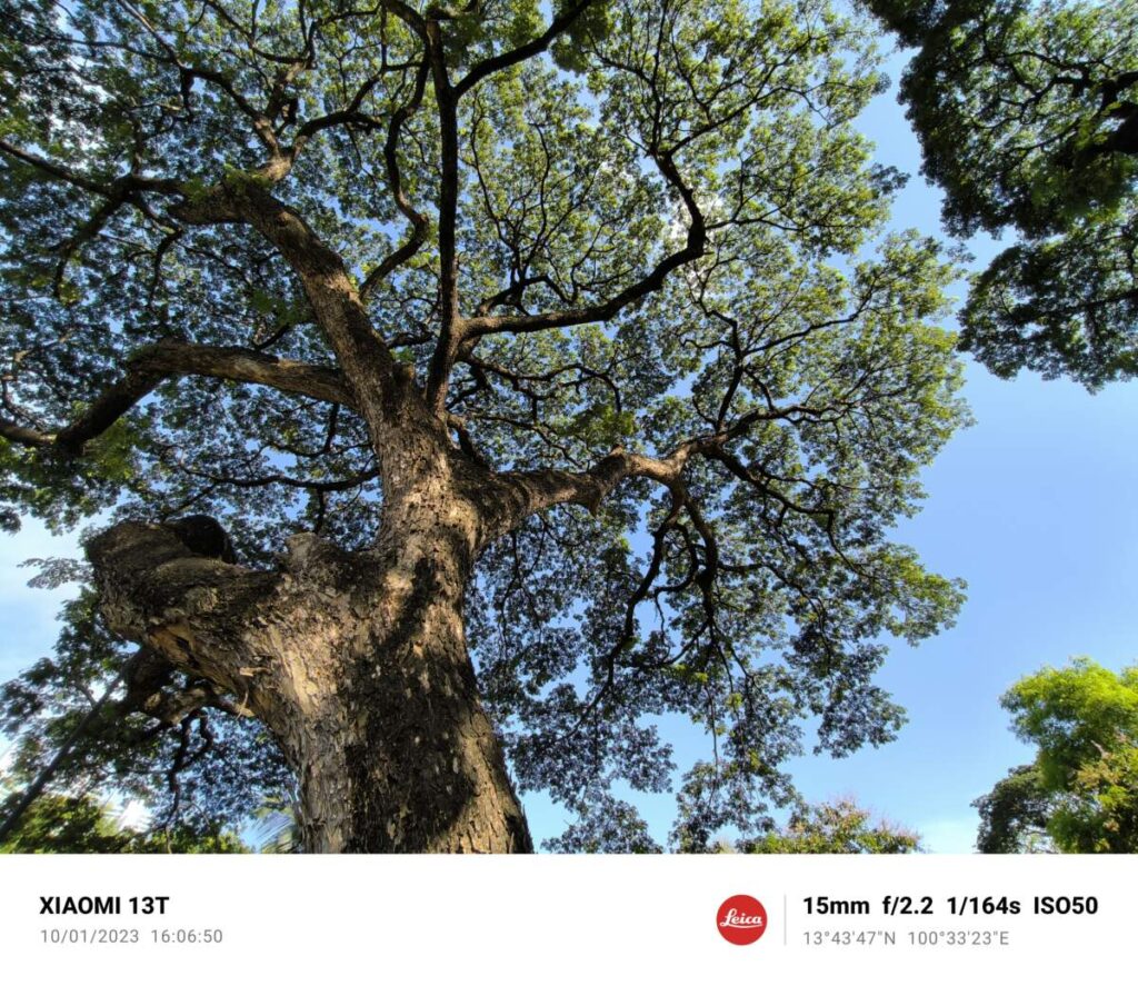 รีวิว Xiaomi 13T 5G ภาพสุดแจ่มด้วย Leica ในราคาหมื่นกลาง