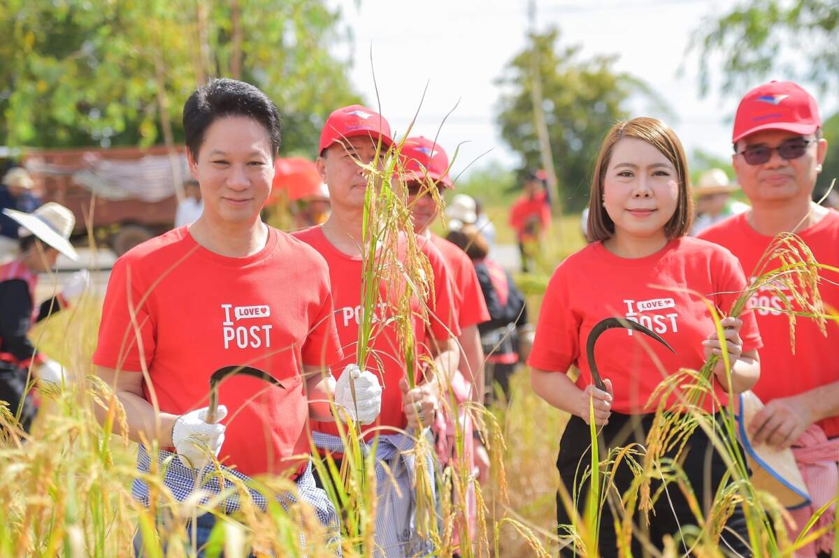 ไปรษณีย์ไทย ส่ง “ข้าวฮางทิพย์ เมืองสกลฯ” รับตลาดข้าวพรีเมียมรุกปั้นอัตลักษณ์แบรนด์ด้วยแนวคิด “3 High” พร้อมอัปรายได้สู่วิสาหกิจเงินล้าน