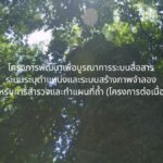 เรียนรู้ "กรณี 13 หมูป่า" สู่แนวทางรับมือพิบัติภัย ด้วยระบบระบุตำแหน่งและภาพจำลองแผนที่ถ้ำสามมิติ