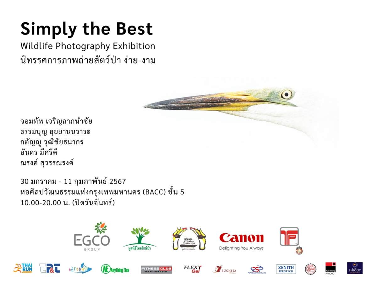 Canon จัดนิทรรศการภาพถ่าย 'ง่าย-งาม: Simply the Best' ณ หอศิลปวัฒนธรรมแห่งกรุงเทพมหานคร ตั้งแต่วันที่ 30 ม.ค. - 11 ก.พ. 67