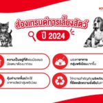 ส่องเทรนด์การเลี้ยงสัตว์ปี 2024 พร้อมเคล็ดลับเสริมโภชนาการอาหาร ให้น้องแมวน้องหมาเติบโตแข็งแรงตั้งแต่ ‘จุดเริ่มต้นของชีวิต’