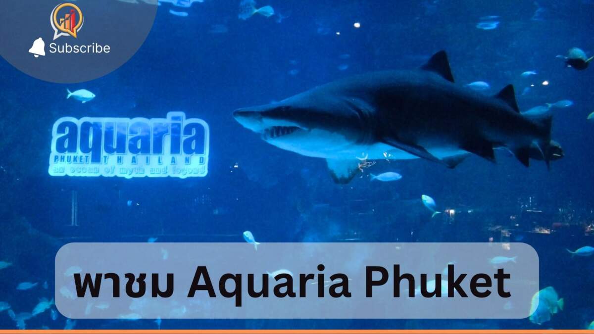 พาชม Aquaria Phuket อควาเรียมใน Central Phuket Foresta