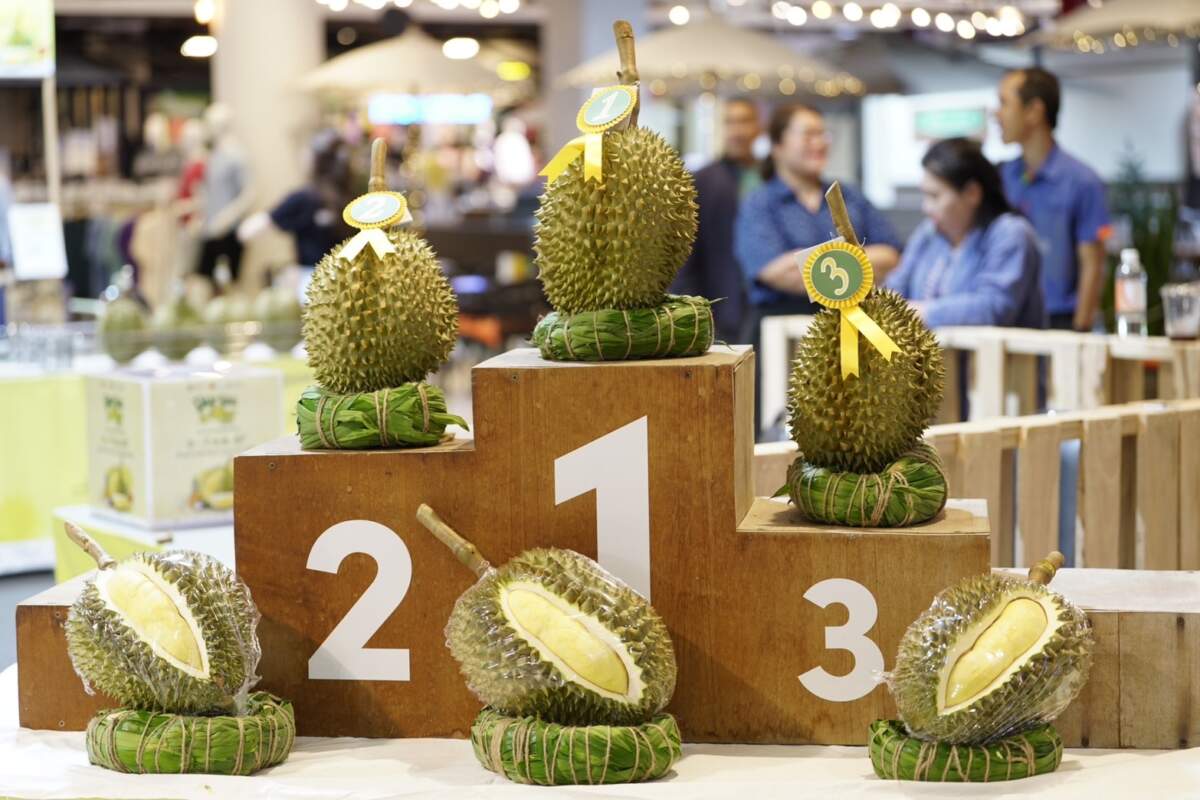 บลูพอร์ต หัวหิน จัดงาน "Durian Lover 2024" ชิงเงินรางวัล 10,000 บาท พร้อมพบกับตู้กดทุเรียน ครั้งแรกในหัวหิน 3 -7 กรกฎาคมนี้