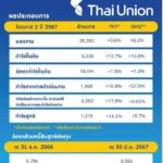 ไทยยูเนี่ยน ปิดไตรมาส 2 โกยกำไร 1.2 พันลบ. รับการฟื้นตัว 3 ธุรกิจหลัก พร้อมปันผลครึ่งปีแรก 0.31 บาทต่อหุ้น