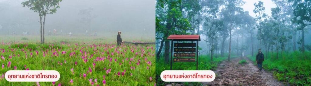 กรุงศรี ออโต้ ปักหมุด 5 อุทยานแห่งชาติ ชวนขับรถเที่ยวหน้าฝน