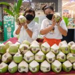เซ็นทรัล มหาชัย จัดใหญ่ “Mahachai Coconut Festival 2025” ดันมะพร้าวน้ำหอมบ้านแพ้ว GI สู่สากล