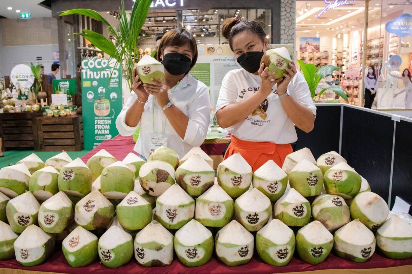 เซ็นทรัล มหาชัย จัดใหญ่ “Mahachai Coconut Festival 2025” ดันมะพร้าวน้ำหอมบ้านแพ้ว GI สู่สากล