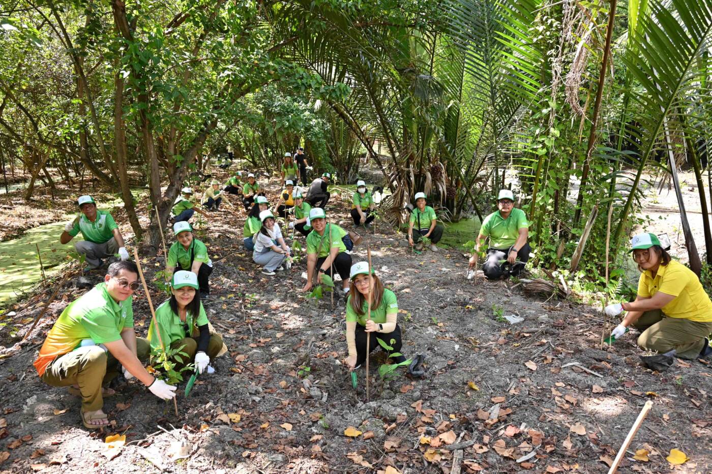 บางจากฯ สานต่อภารกิจสีเขียว ณ คุ้งบางกะเจ้า อนุรักษ์พันธุ์ไม้หายาก