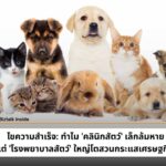 ไขความสำเร็จ: ทำไม 'คลินิกสัตว์' เล็กล้มหาย แต่ 'โรงพยาบาลสัตว์' ใหญ่โตสวนกระแสเศรษฐกิจ?
