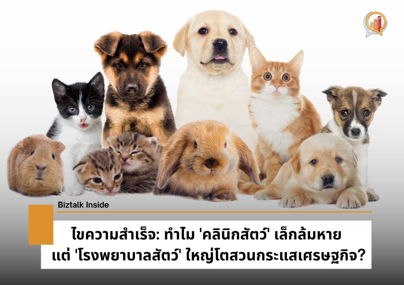 ไขความสำเร็จ: ทำไม 'คลินิกสัตว์' เล็กล้มหาย แต่ 'โรงพยาบาลสัตว์' ใหญ่โตสวนกระแสเศรษฐกิจ?