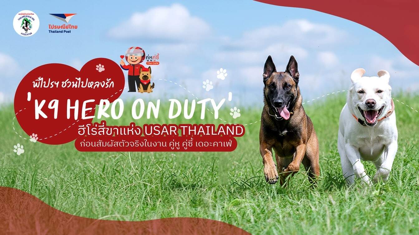 เปิดความลับ 'K9 Hero on Duty' คู่หูสี่ขา USAR Thailand! พบ 'โหมดละมุน' และภารกิจกู้ภัยระดับโลก ในงาน 'คู่หู คู่ซี้ เดอะคาเฟ่' สุดสัปดาห์นี้