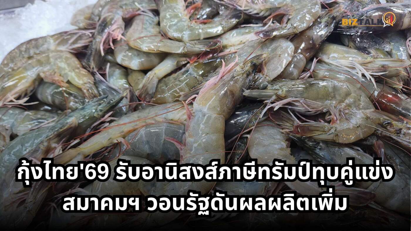 กุ้งไทย'69 รับอานิสงส์ภาษีทรัมป์ทุบคู่แข่ง สมาคมฯ วอนรัฐดันผลผลิตเพิ่ม