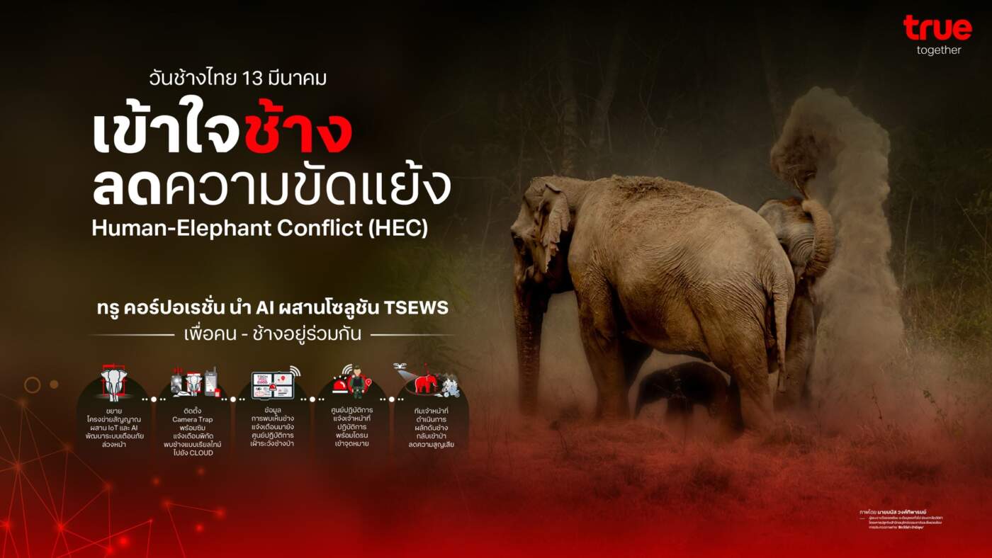 ทรู ผสาน AI ยกระดับระบบเตือนภัยช้างป่า TSEWS รับวันช้างไทย สร้างสมดุลคนกับป่าให้อยู่ร่วมกันอย่างยั่งยืน