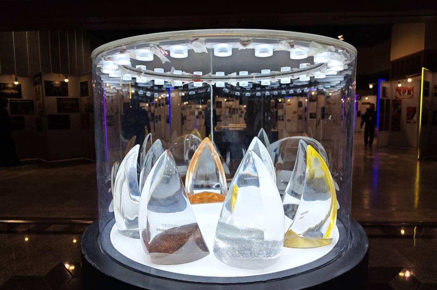ADFEST 2026 เผยผู้ชนะ Lotus Awards วันแรก! ผลงาน 'Vaseline Verified' คว้า Grande ตอกย้ำนิยาม Human+