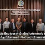 ราคาข้าวโพดไทยพุ่ง 13 บาท สมาพันธ์ฯ แจงเหตุจำเป็นนำเข้าจากสหรัฐฯ