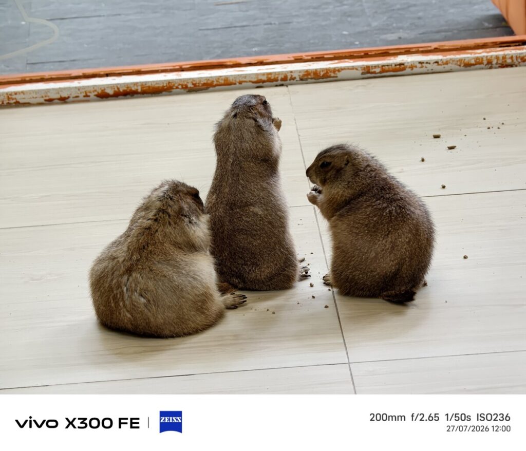 รีวิว vivo X300 FE + เลนส์ "ไม่ถ่ายคน ไม่ซูมคอนเสิร์ต"