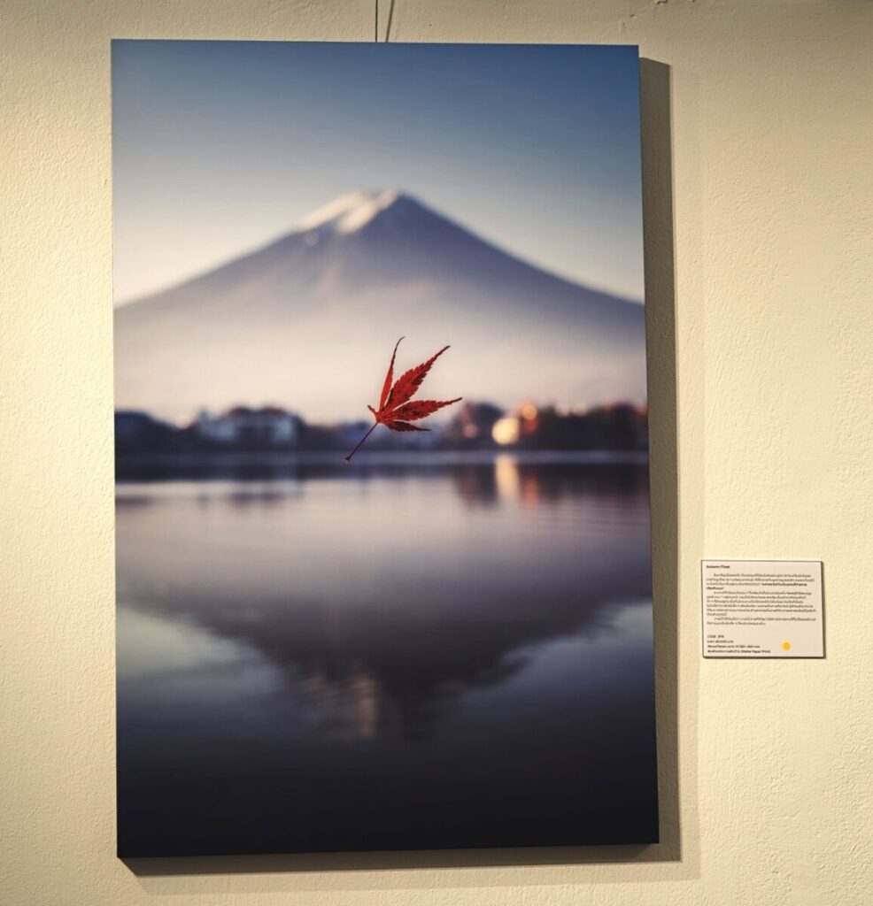 Behind Japan… In My Memories: 10 ปีแห่งการเล่าเรื่องญี่ปุ่นด้วยภาพถ่ายของ "แพง" เสาวนีย์ สุนทรารักษ์