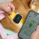 AIS เปิดตัว SMART Pets Phone เปลี่ยนปลอกคอติดตามเป็นสมาร์ทโฟนสัตว์เลี้ยง วิดีโอคอล-GPS เรียลไทม์ ไร้ค่าบริการรายเดือน