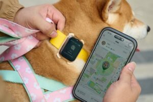 AIS เปิดตัว SMART Pets Phone เปลี่ยนปลอกคอติดตามเป็นสมาร์ทโฟนสัตว์เลี้ยง วิดีโอคอล-GPS เรียลไทม์ ไร้ค่าบริการรายเดือน
