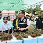 NT ยกระดับเกษตรดิจิทัลสู่ชุมชน ผนึกโรงเรียนบุญวัฒนาเปิด Showcase “Smart Farmer Smart School” ตอกย้ำความสำเร็จ NT Youth Club ปี 69